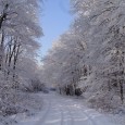 Sziasztok! A fentiekben írt régi hagyományunk ápolása céljából meghívók mindenkit, aki velünk szeretne tartani a baji szőlőhegyre. A túrát már többször teljesítettük, kiállta az idők próbáját! 🙂 Időpont: 2013- február […]